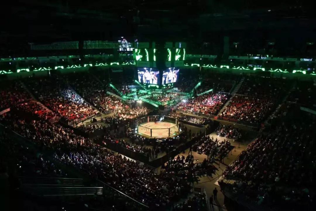 芒果体育- UFC夜战：泰山灰熊队淘汰对手瓯越貔貅队，临门一脚致胜争冠格局再洗牌